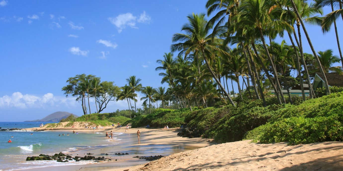 View of a beach in Maui