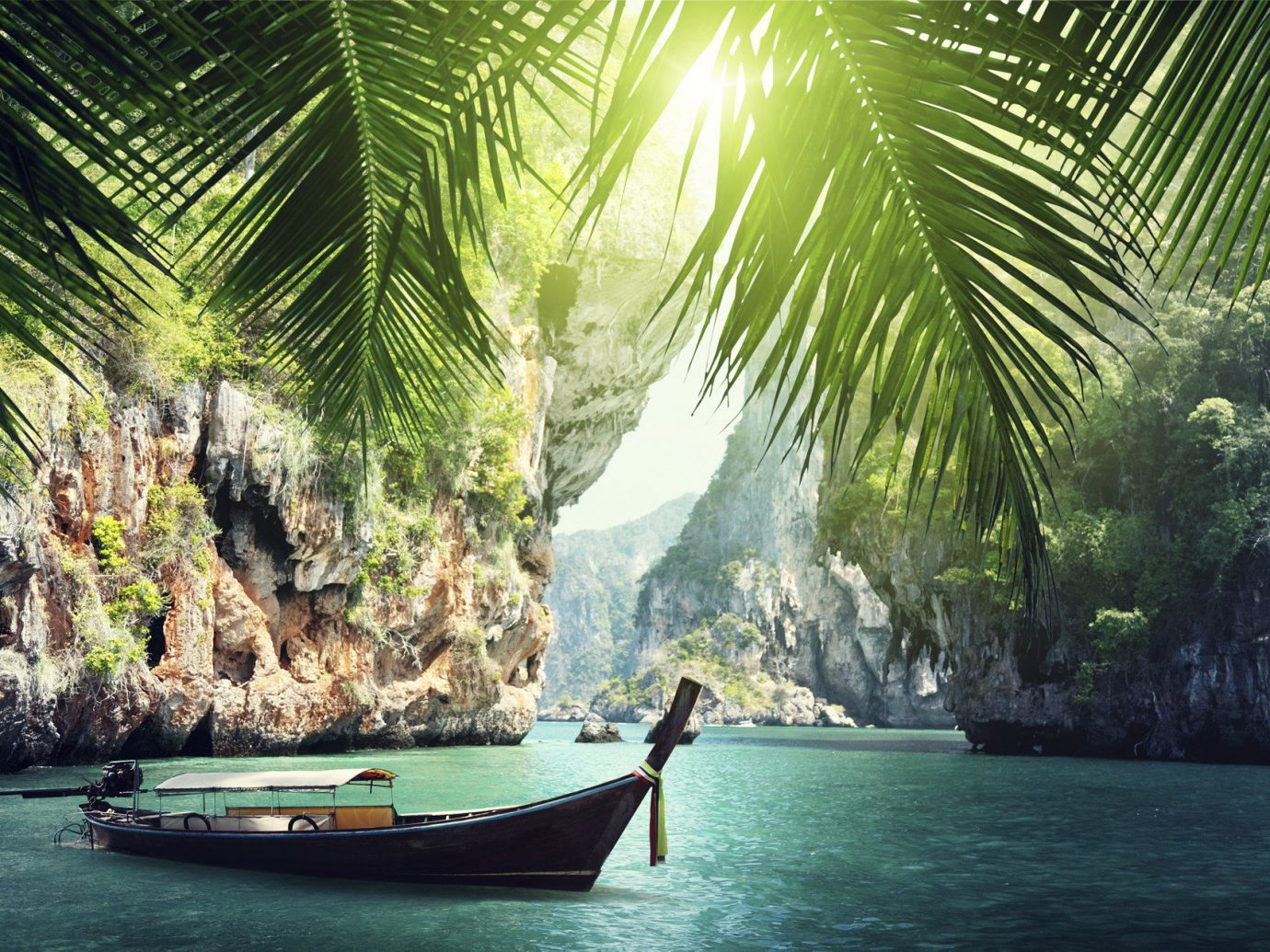 Offbeat water outdoor Boat green tree tropics plant Jungle arecales vehicle sunlight palm family rainforest palm