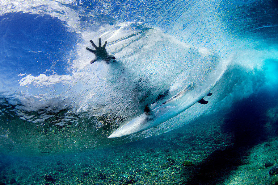 Offbeat water wave water sport blue marine biology Ocean outdoor wind wave Sea fish underwater surfing extreme sport