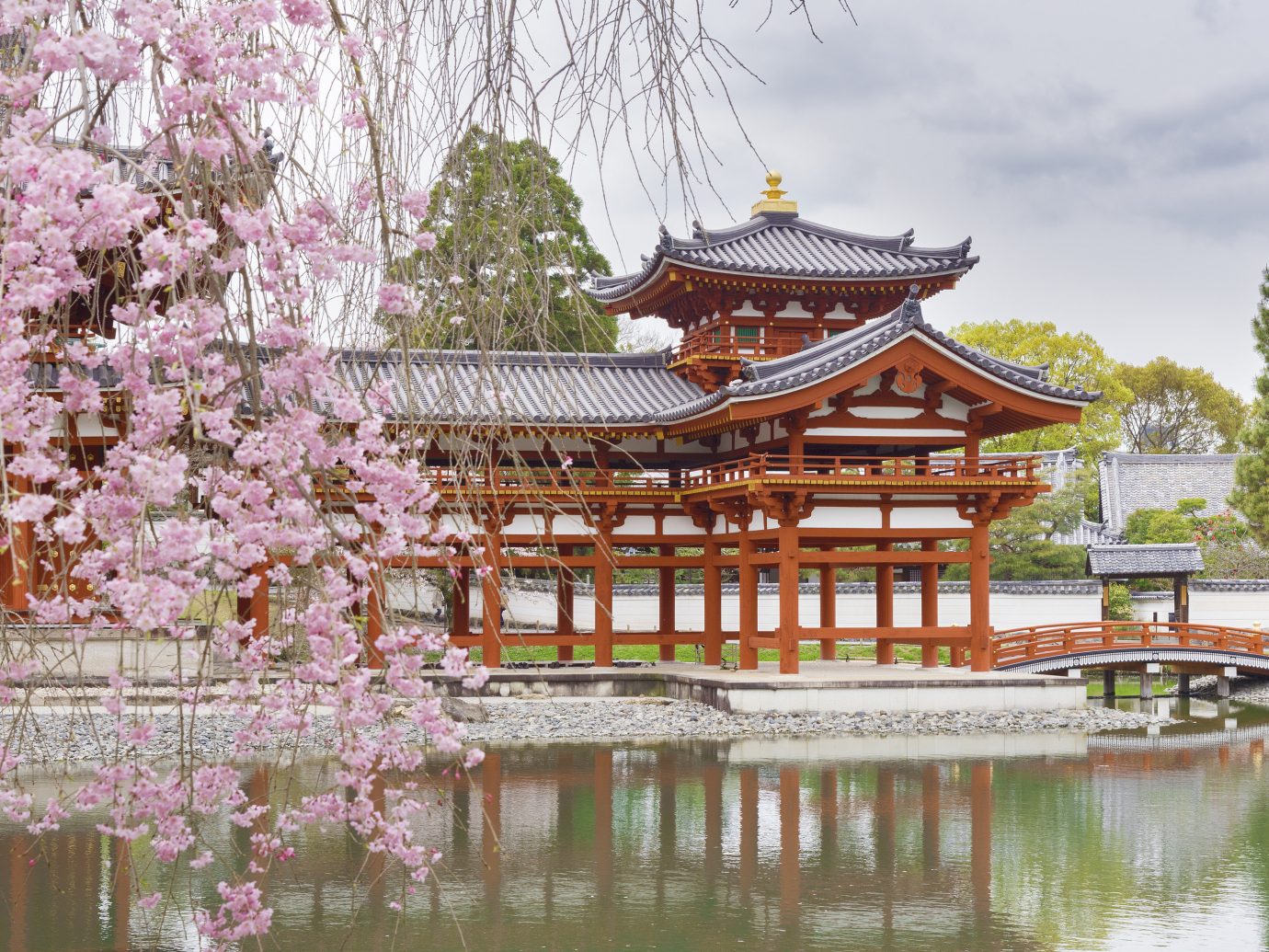 Japan Trip Ideas chinese architecture japanese architecture plant flower shinto shrine pagoda tree reflection cherry blossom outdoor structure temple pavilion shrine spring pond gazebo leisure