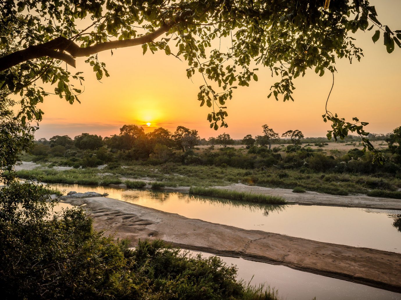 Sunset at African Safari