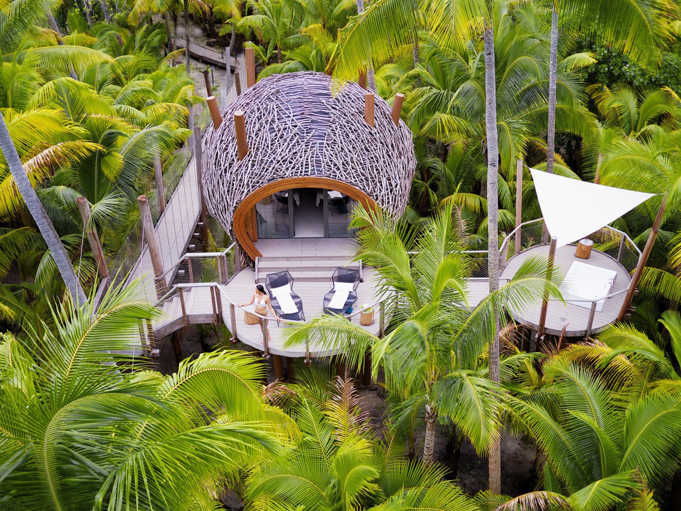 aerial Balcony calm Greenery Hotels hut isolation lounge chairs Luxury Luxury Travel open-air palm trees Patio private remote serene Terrace Tropical tree habitat outdoor natural environment ecosystem Resort botany Jungle rainforest Garden tropics arecales Forest flower botanical garden plant surrounded lush