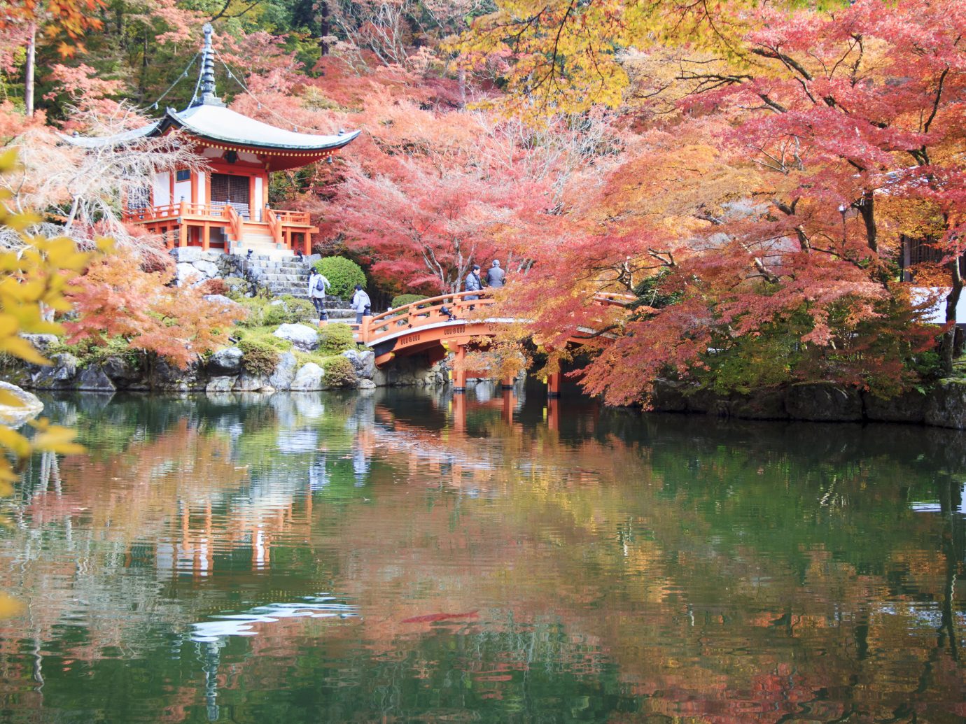 Trip Ideas outdoor tree Nature reflection water plant leaf autumn waterway pond pagoda spring maple tree flower cherry blossom tourist attraction watercourse landscape bank branch Lake temple surrounded area