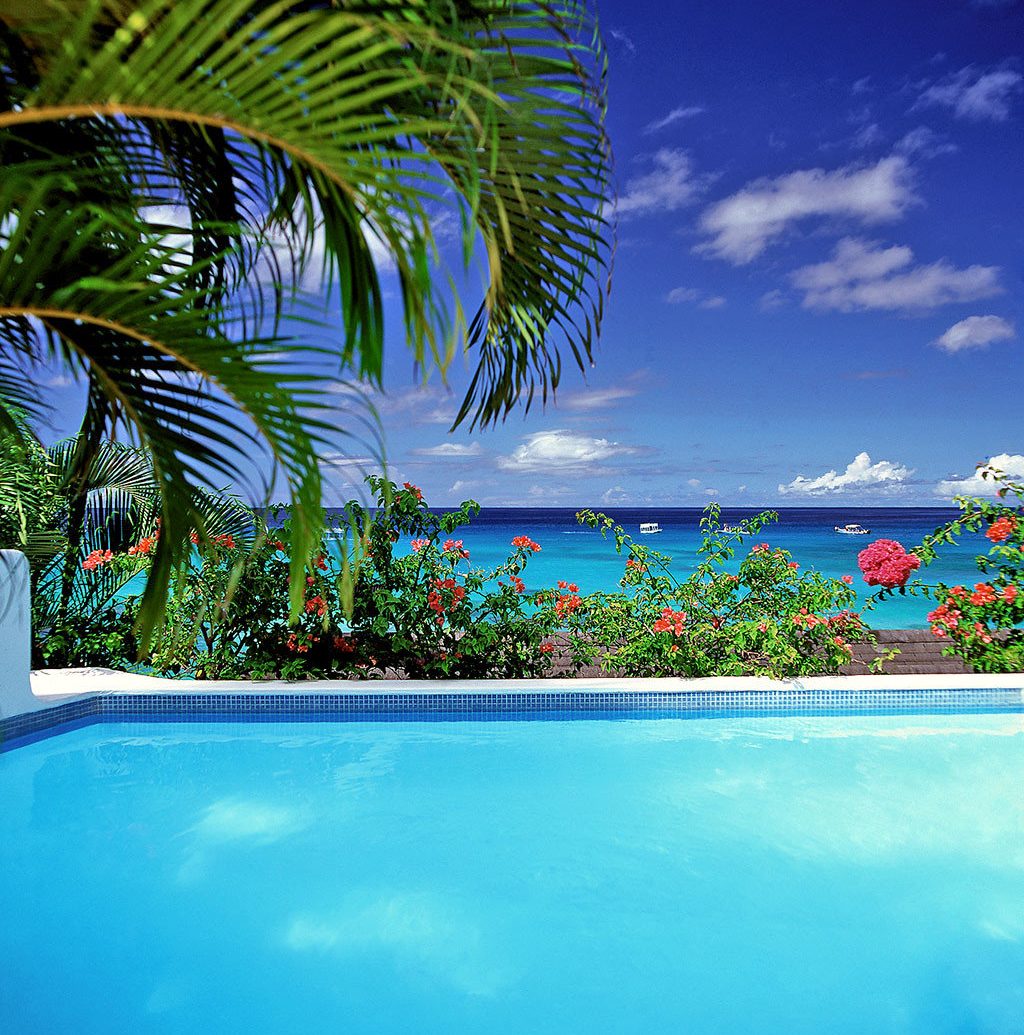 Beach Beachfront Country Cultural Elegant Island Patio Pool Scenic views Trip Ideas Waterfront swimming pool palm caribbean Ocean vacation tropics Sea arecales Resort Lagoon bay palm family atoll plant colorful