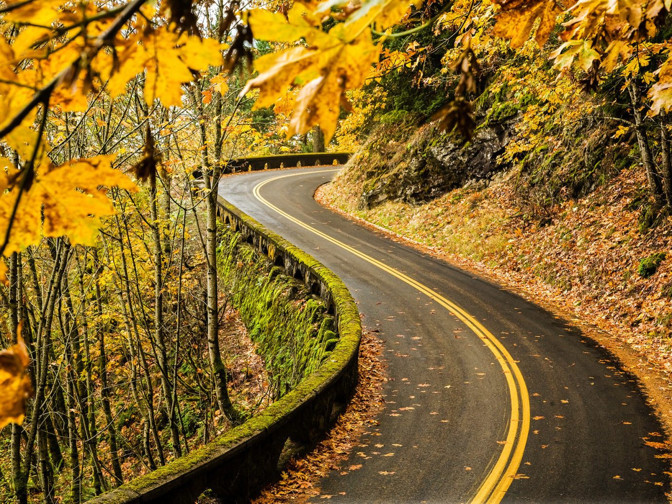 Jetsetter Guides Road Trips tree Nature outdoor road transport autumn season lane leaf plant track morning woody plant yellow infrastructure rural area landscape nonbuilding structure traveling wooded