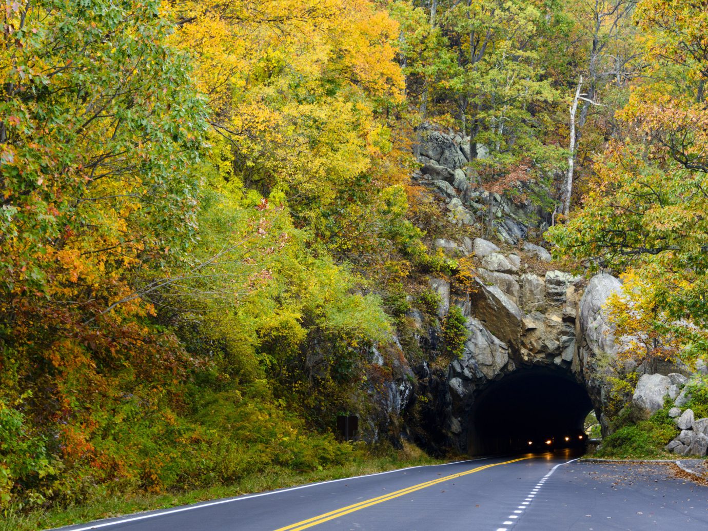 Outdoors + Adventure Road Trips Trip Ideas tree outdoor road leaf Nature autumn yellow vegetation woody plant infrastructure wilderness plant deciduous way scene Forest woodland path rock temperate broadleaf and mixed forest landscape state park biome escarpment national park branch water