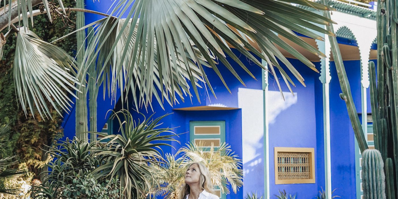 Morocco Packing Tips Style + Design Travel Shop majorelle blue arecales palm tree tree plant water vacation leisure tropics Resort tourism recreation
