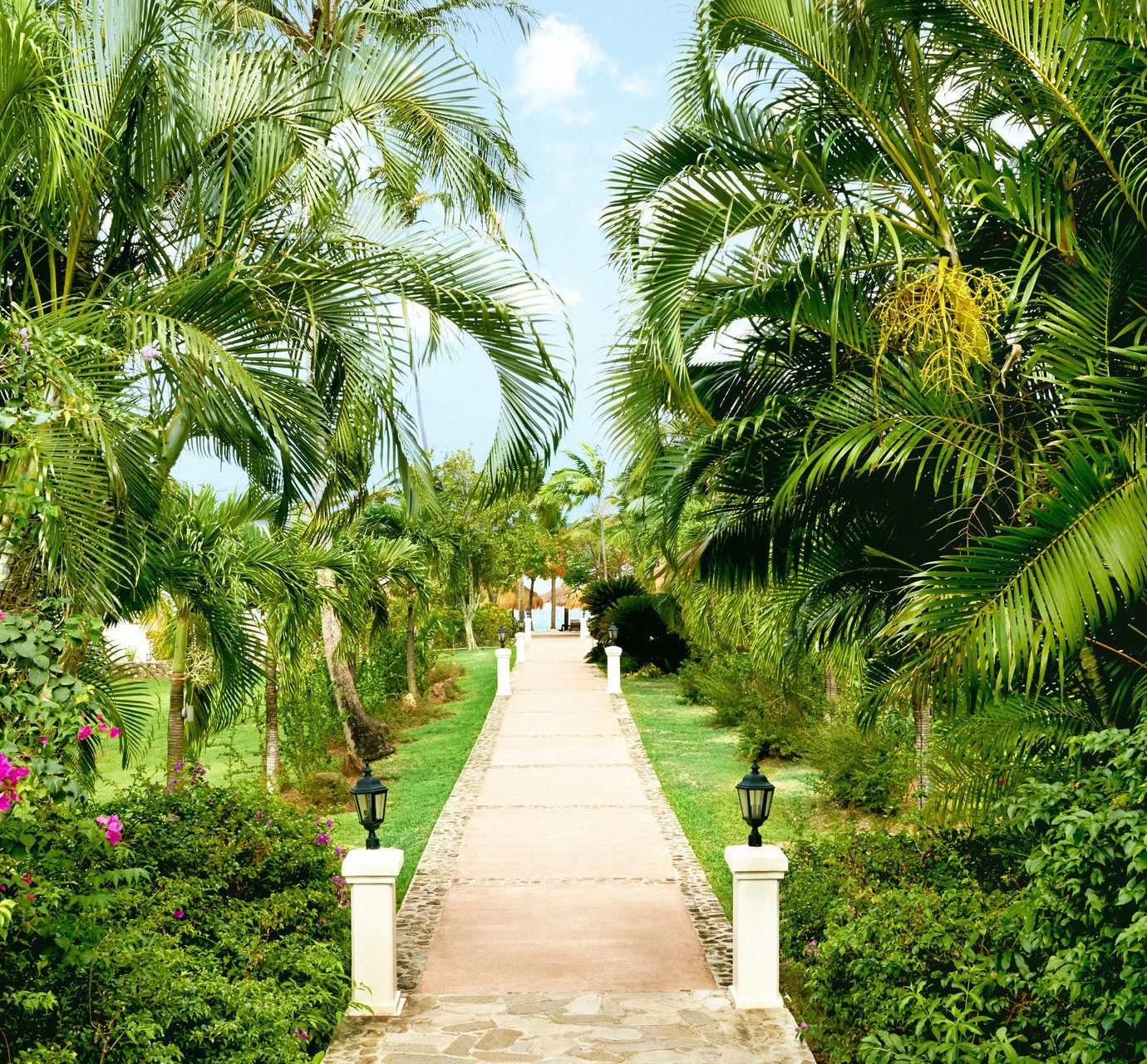 Walkway At Sugar Beach, A Viceroy Resort In Soufriere
