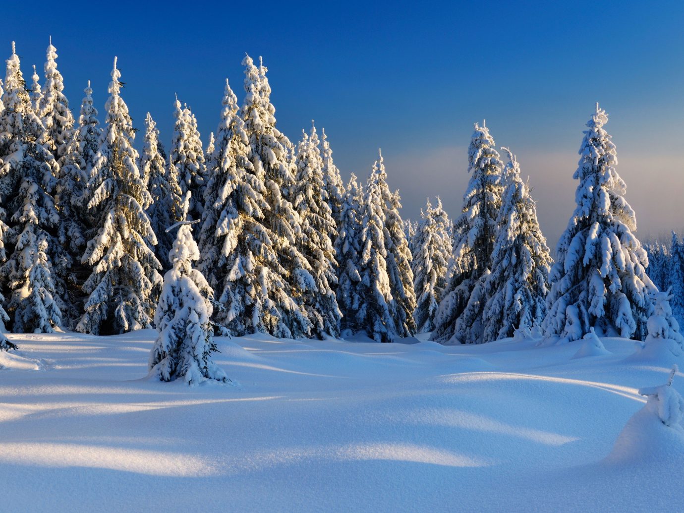 Trip Ideas snow outdoor tree sky skiing Winter Nature weather season plant slope mountain woody plant freezing fir spruce mountain range larch frost branch piste