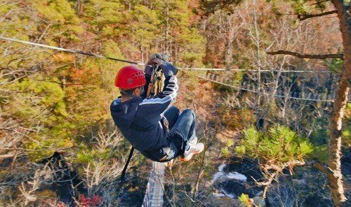 Outdoors + Adventure outdoor grass tree Adventure sports outdoor recreation extreme sport recreation trail abseiling Forest wooded