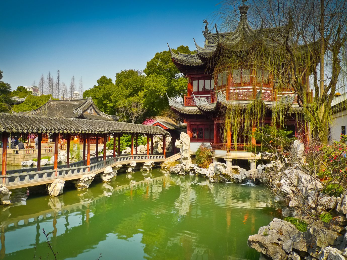 China china rose Shanghai Travel Tips Trip Ideas reflection water Nature plant waterway tree tourist attraction leisure sky tourism pond City real estate Resort landscape Garden flower chinese architecture watercourse