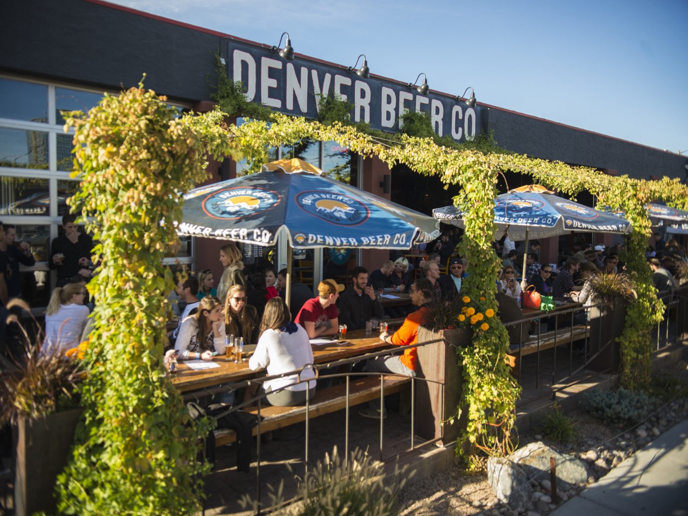 Beer garden in Denver, CO