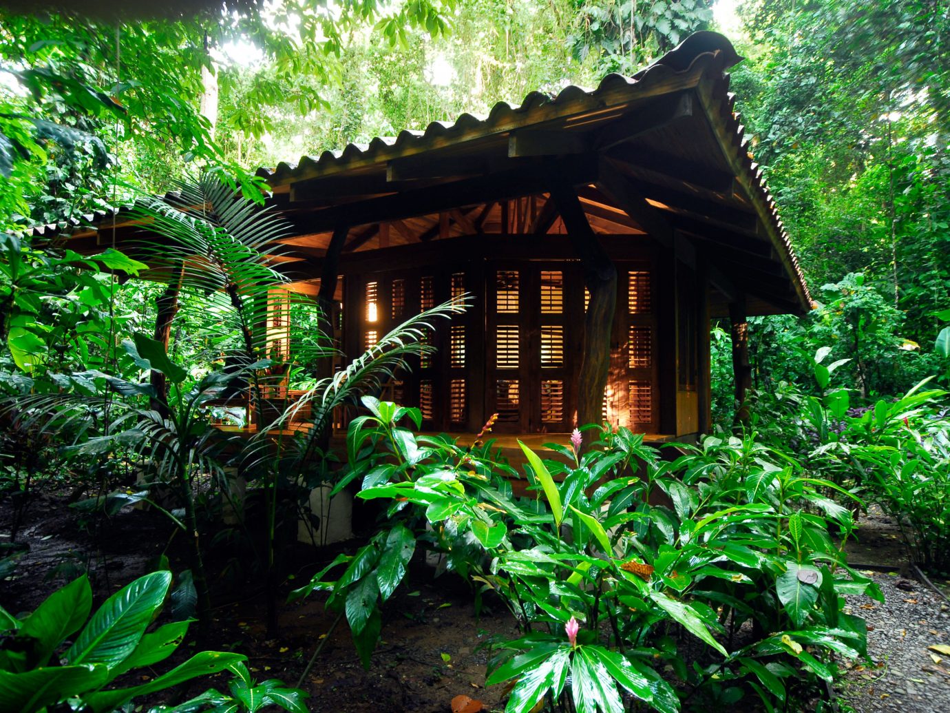 Adventure All-inclusive Budget Eco Exterior Grounds Honeymoon Jungle Outdoor Activities Outdoors Romantic Rustic tree outdoor habitat plant green natural environment rainforest Forest Garden botany woodland tropics house flower hut shrine wood bushes shade surrounded stone
