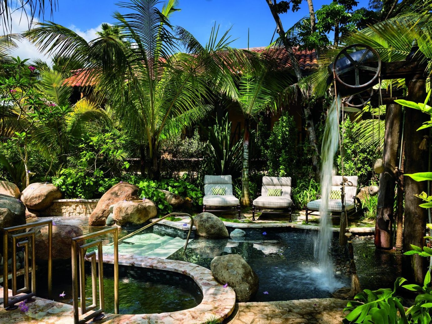 Hotels tree outdoor botany Jungle swimming pool Resort Garden arecales estate rainforest tropics plant backyard pond botanical garden flower palm