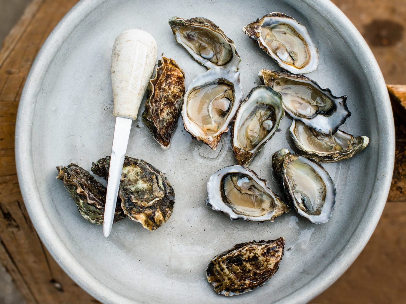 Trip Ideas plate oyster food Seafood clams oysters mussels and scallops oysters rockefeller animal source foods mussel dish slice clam recipe edible seed sliced meal