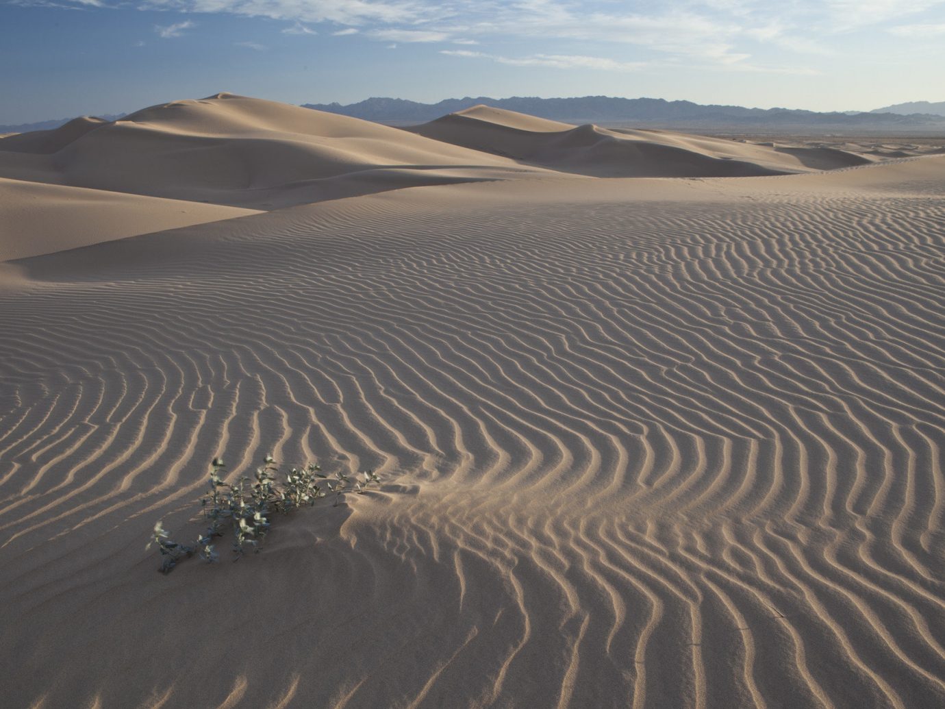 Sand dunes at Mojave National Preserve