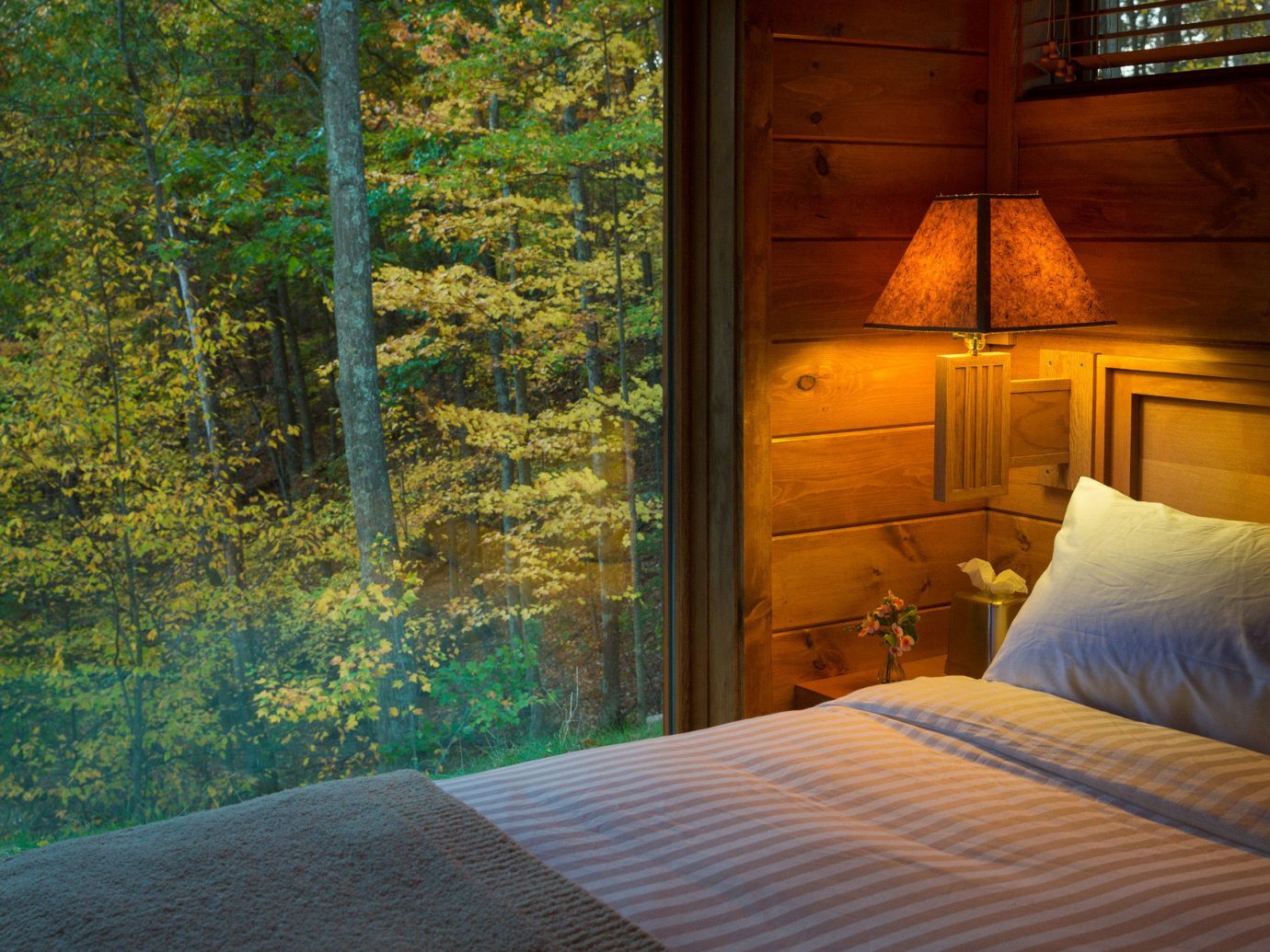 ambient lighting bed Bedroom Cabin calm charming cozy Forest isolation Lodge Luxury Nature Outdoors remote Rustic serene trees Trip Ideas view warm window woods indoor season estate sunlight cottage pillow autumn