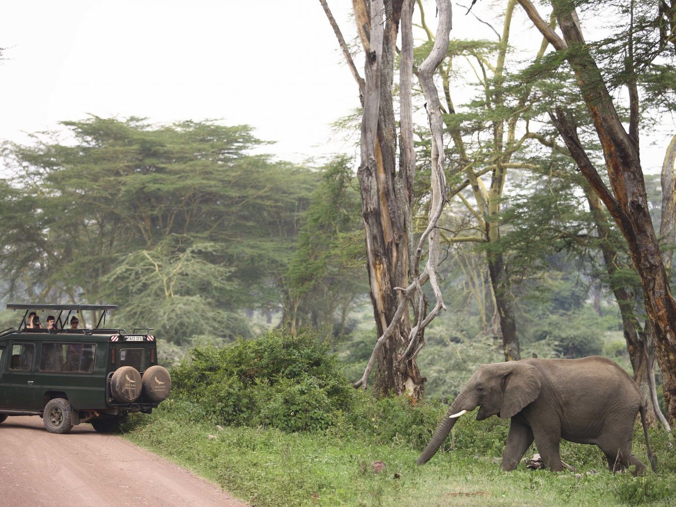 andBeyond Ngorongoro Crater Lodge, Tanzania African Safari Elephant
