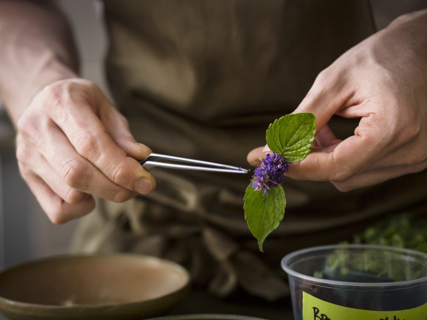 person indoor food plant produce flower hand Drink beverage sense baking preparing tableware bowl