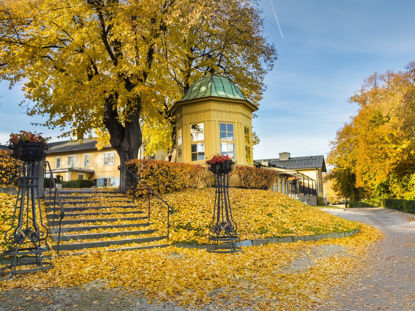 Hotels Stockholm Sweden tree outdoor sky leaf yellow Nature autumn landmark woody plant estate house plant home château stately home real estate sunlight tourist attraction landscape facade grass cottage manor house branch maidenhair tree Village