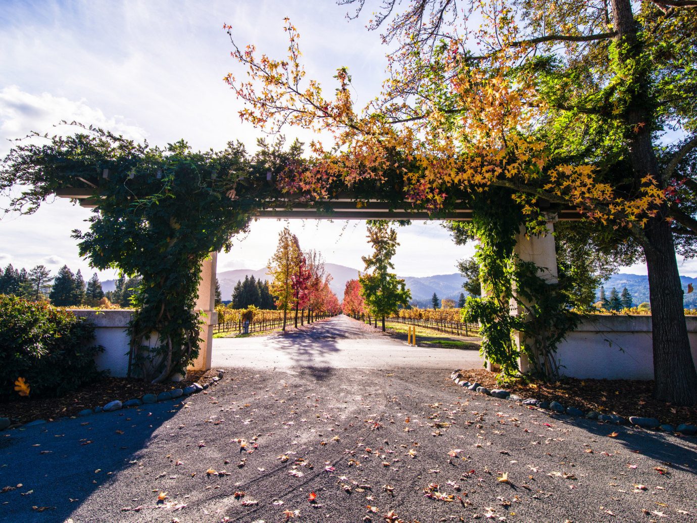 autumn calm entrance Fall Fall leaves festival foliage Greenery leaves Mountains Nature remote serene Travel Tips trees Trip Ideas tree outdoor sky ground neighbourhood house season leaf estate woody plant home flower Garden way plant