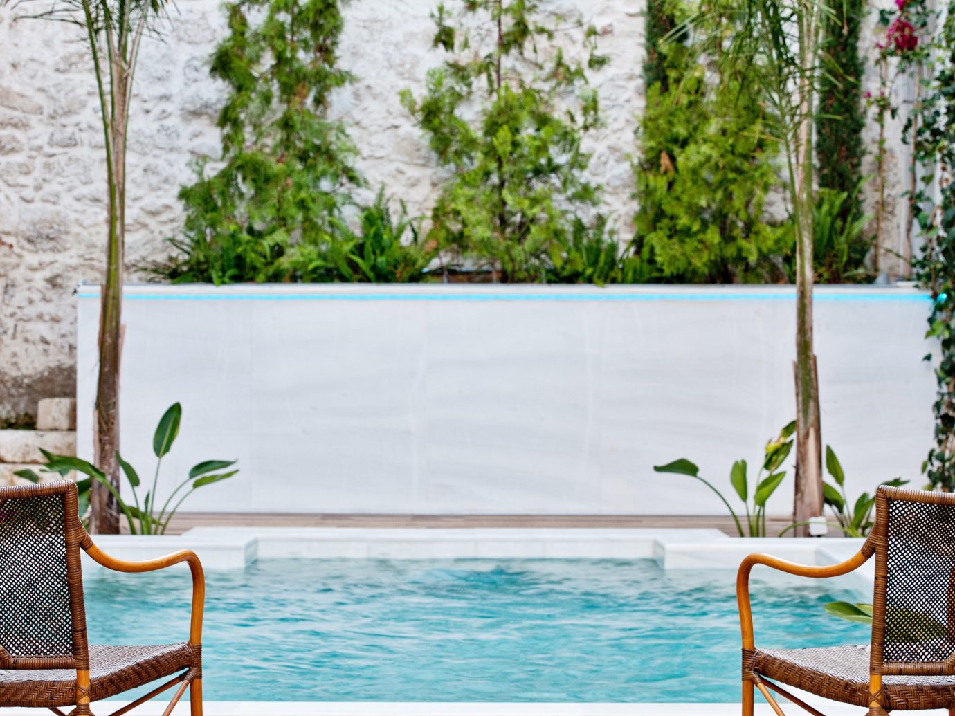 Lounge Luxury Modern Pool Trip Ideas tree outdoor chair swimming pool backyard home estate interior design flower