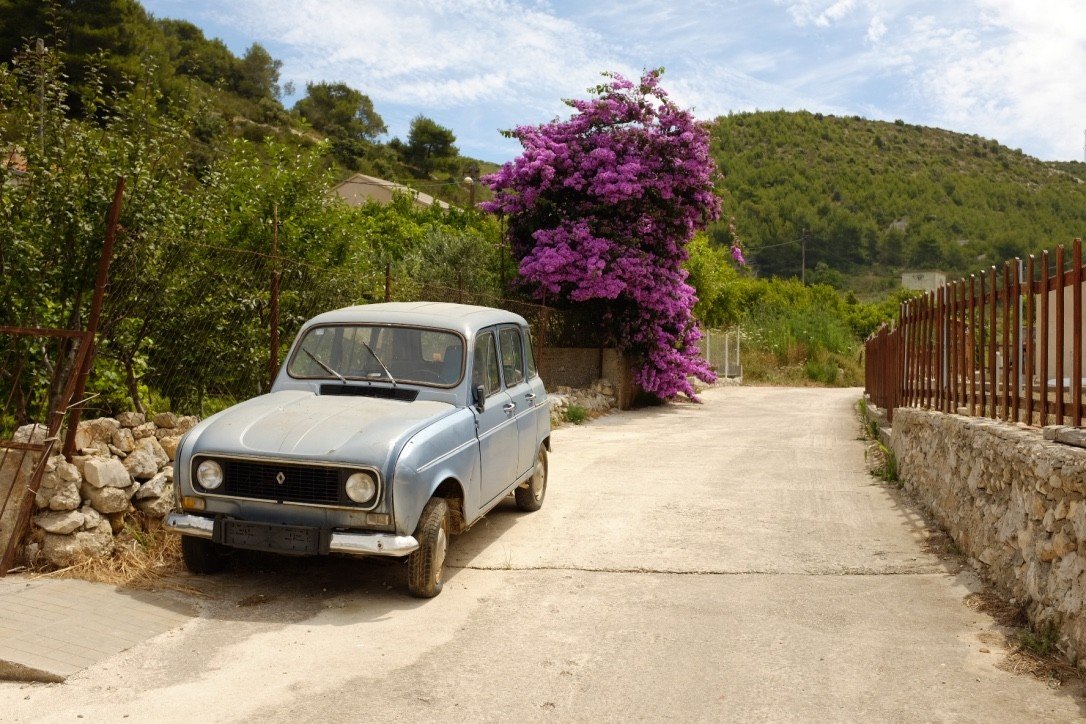 calm car charming flowers Greenery isolation quaint remote serene Travel Tips trees outdoor tree ground vehicle land vehicle transport way flower curb