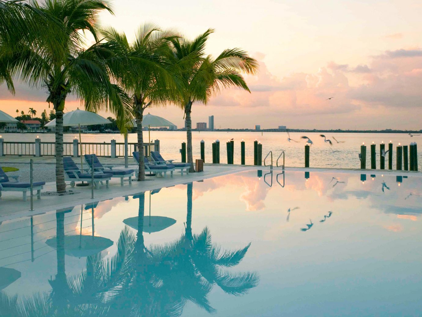 Adult-only Pool Romance Scenic views Trip Ideas Wellness outdoor tree water palm Ocean Beach Sea plant vacation reflection swimming pool morning arecales Resort Sun Nature caribbean Sunset Lagoon bay wave shore lined several sandy day line