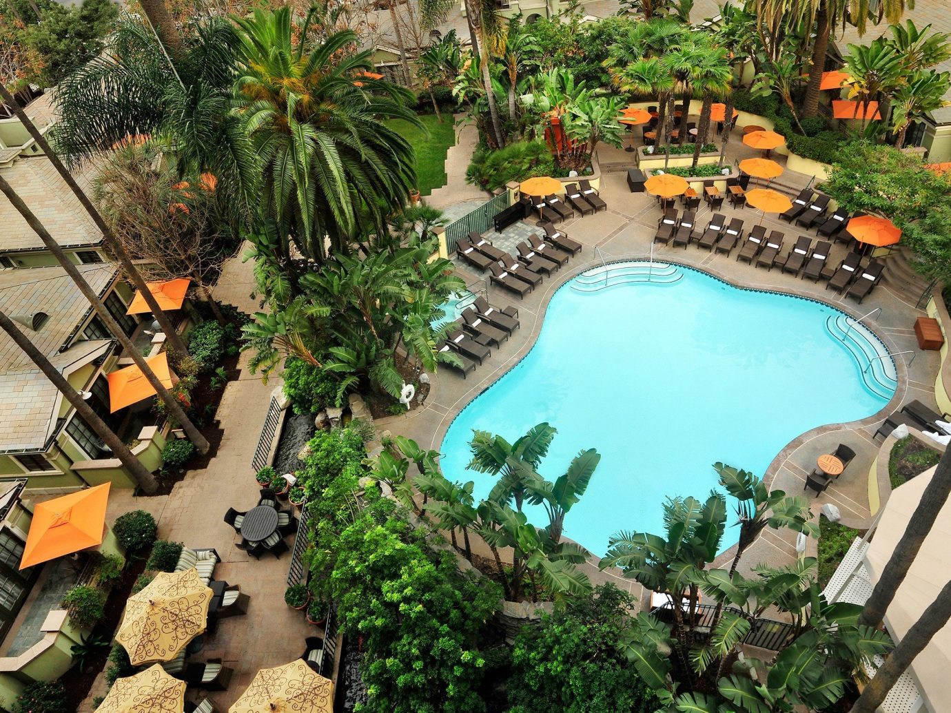 Trip Ideas tree swimming pool plant Resort estate backyard mansion Garden Jungle decorated