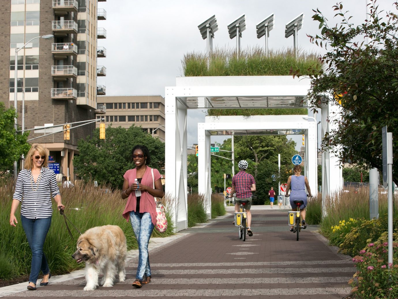 Health + Wellness Trip Ideas outdoor tree road neighbourhood pedestrian walkway