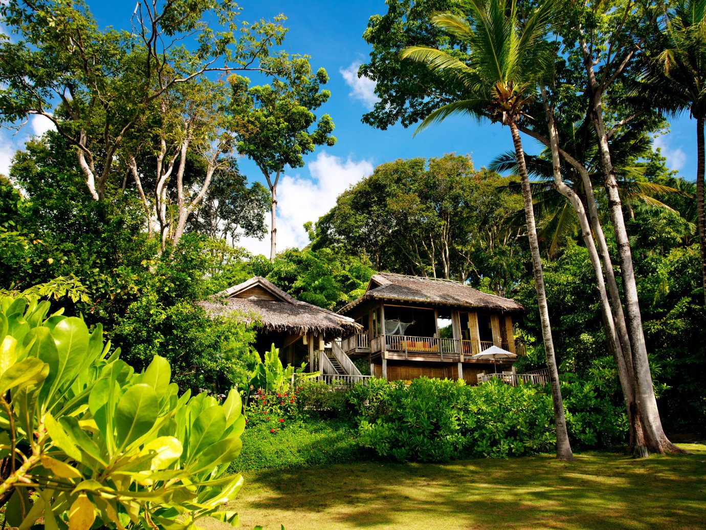 Beach Exterior Garden Grounds Hotels Phuket Thailand Tropical tree outdoor habitat natural environment plant botany house estate Jungle Forest tropics arecales woody plant rainforest rural area Resort flower plantation surrounded