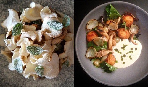 Food + Drink food dish meal cuisine hors d oeuvre produce breakfast mushroom vegetable different plastic