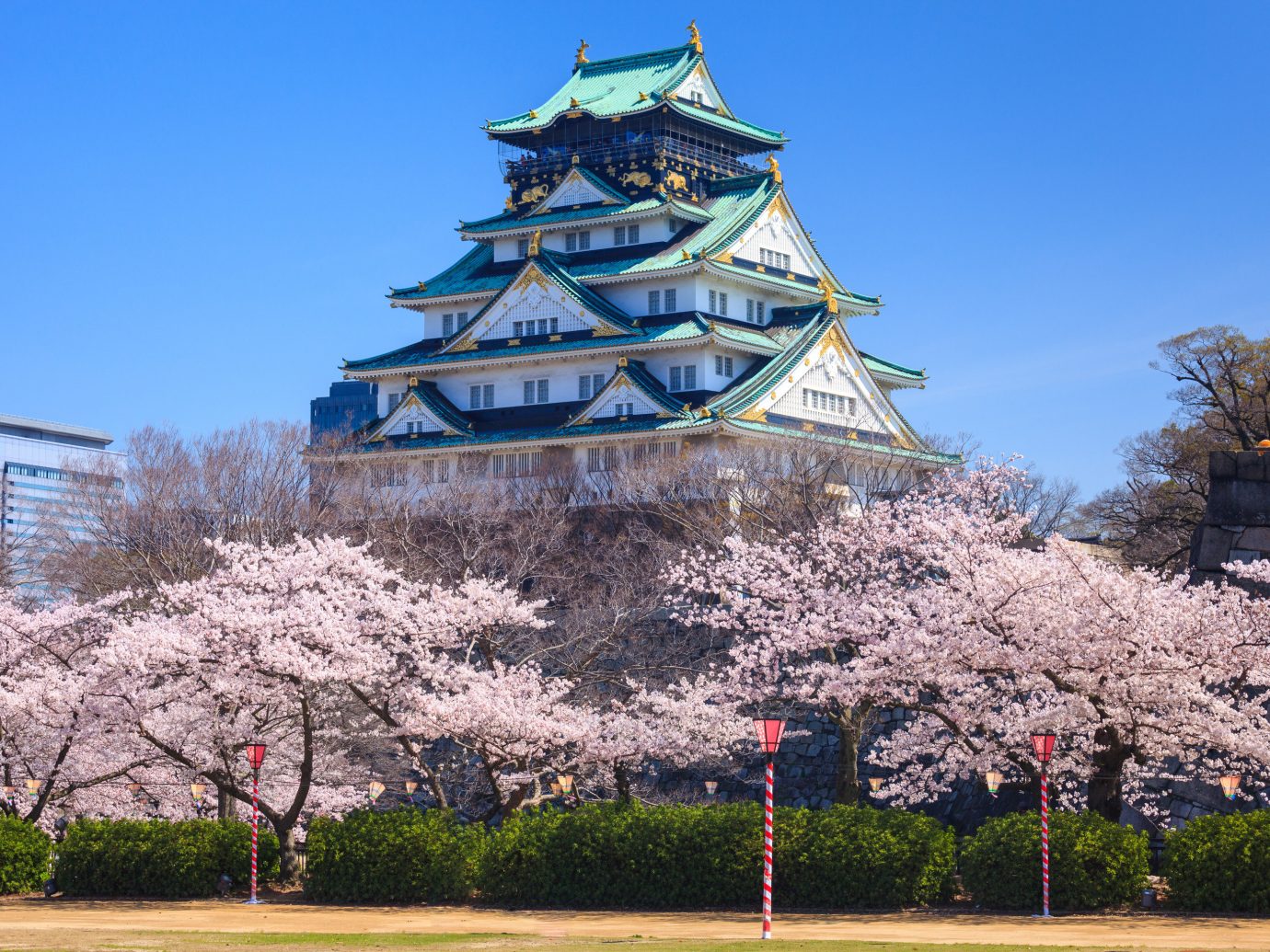 Japan Trip Ideas landmark sky flower plant tourist attraction tree cherry blossom spring building blossom tourism