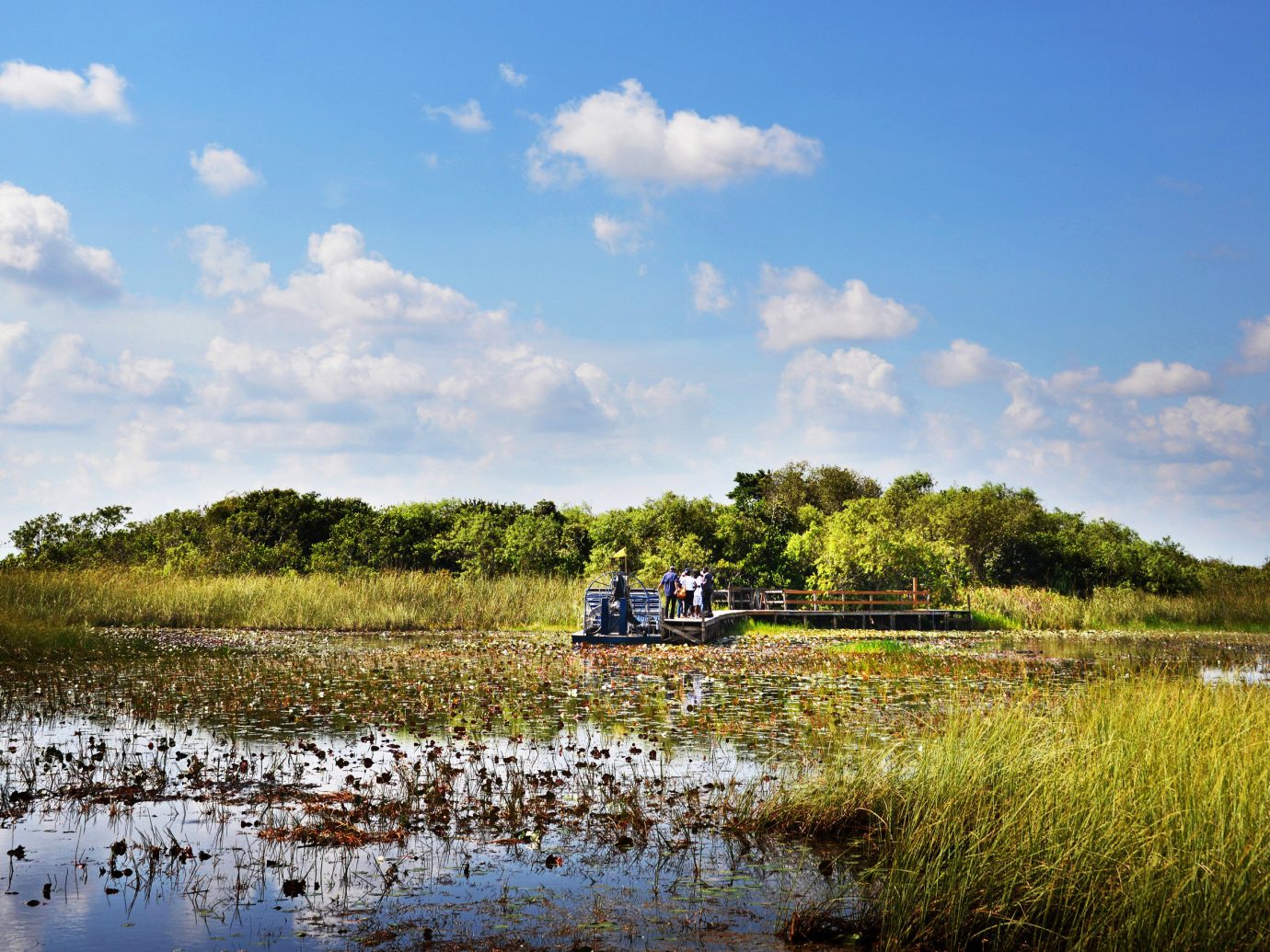 Florida Miami National Parks Outdoors + Adventure Trip Ideas Weekend Getaways outdoor sky grass water habitat Nature River reflection geographical feature shore natural environment pond wetland cloud marsh Lake loch morning rural area landscape waterway vehicle Sea reservoir day