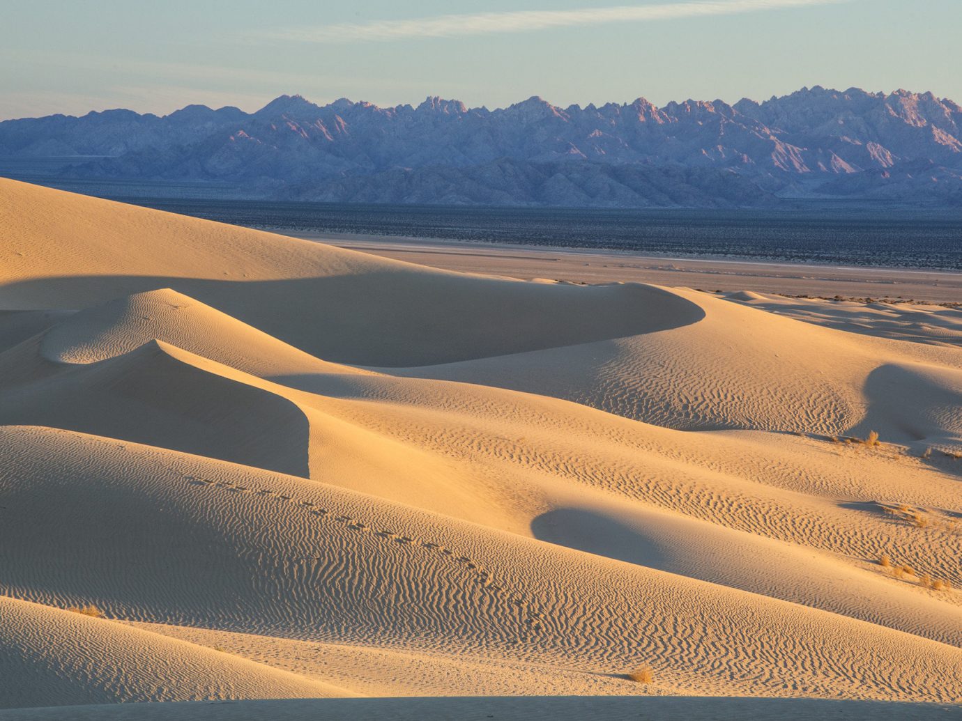 Sand dunes at Mojave National Preserve