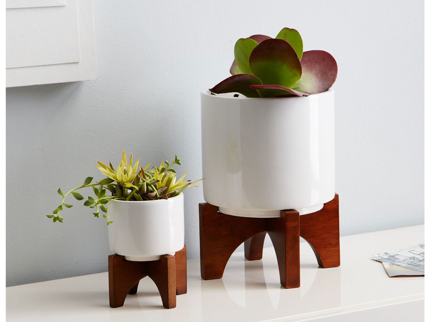 Style + Design indoor furniture product shelf ceramic table lighting vase flowerpot produce food
