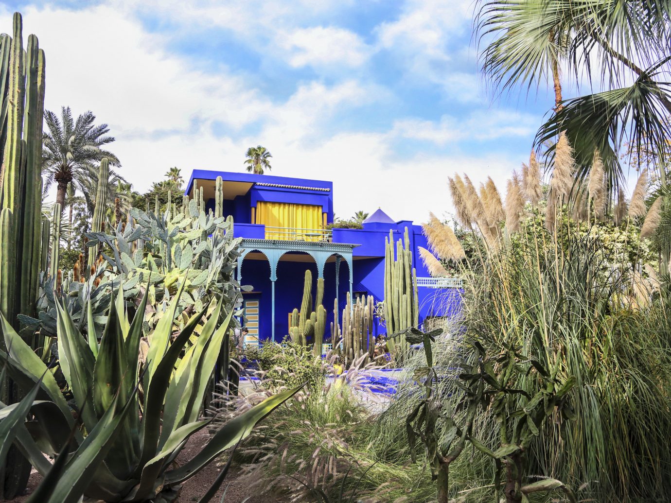 Arts + Culture Marrakech Morocco Style + Design plant majorelle blue arecales tree palm tree sky real estate grass landscape house