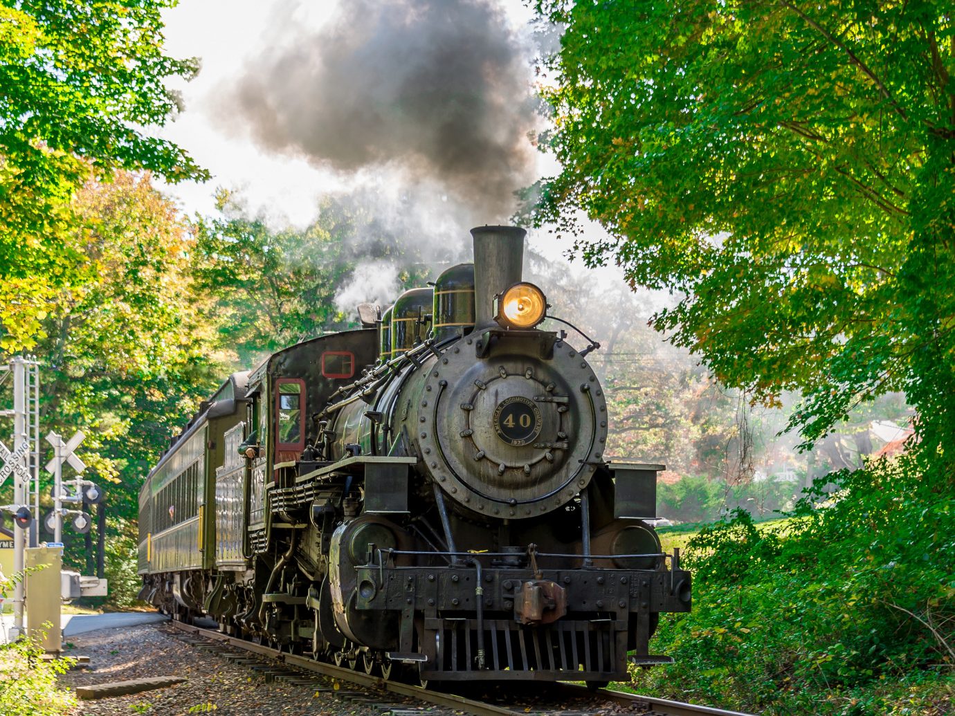 Family Travel Trip Ideas Weekend Getaways tree train track outdoor transport steam engine locomotive vehicle land vehicle rail transport steam engine rolling stock coming old smoke automotive engine part Forest railroad traveling wooded