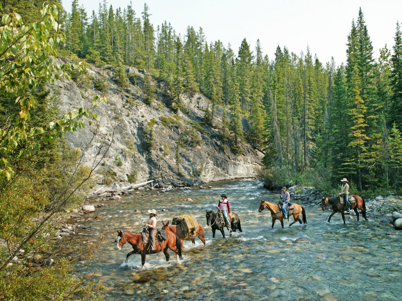 Mountains + Skiing National Parks Outdoors + Adventure Trip Ideas Weekend Getaways tree outdoor horse wilderness ecosystem River sports outdoor recreation group people walking Lake valley rapid Forest wooded several