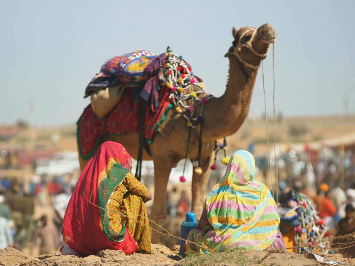 Trip Ideas sky Camel outdoor mammal camel like mammal arabian camel Sport colorful dancer