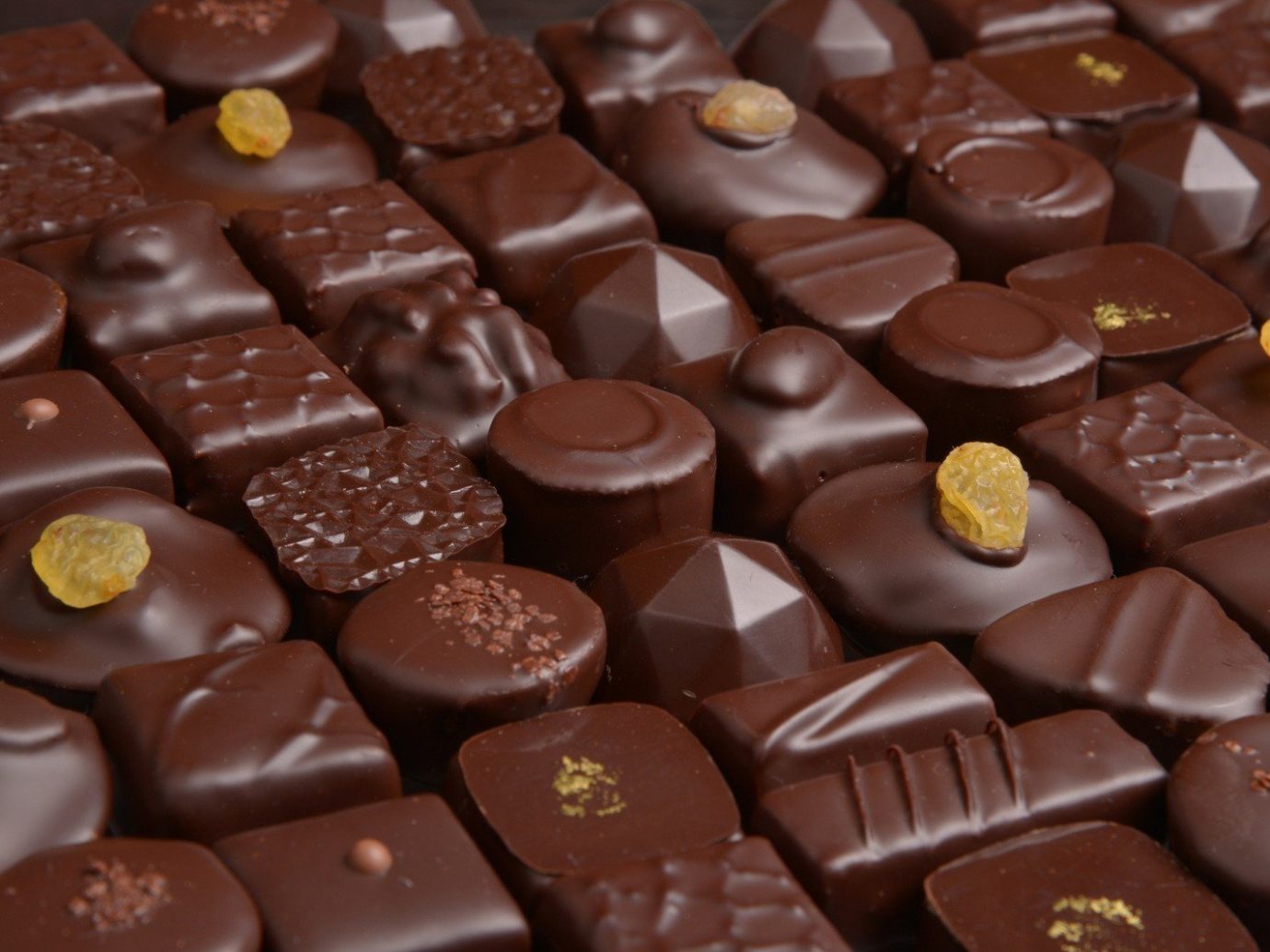 Chocolates from Roy Chocolatier
