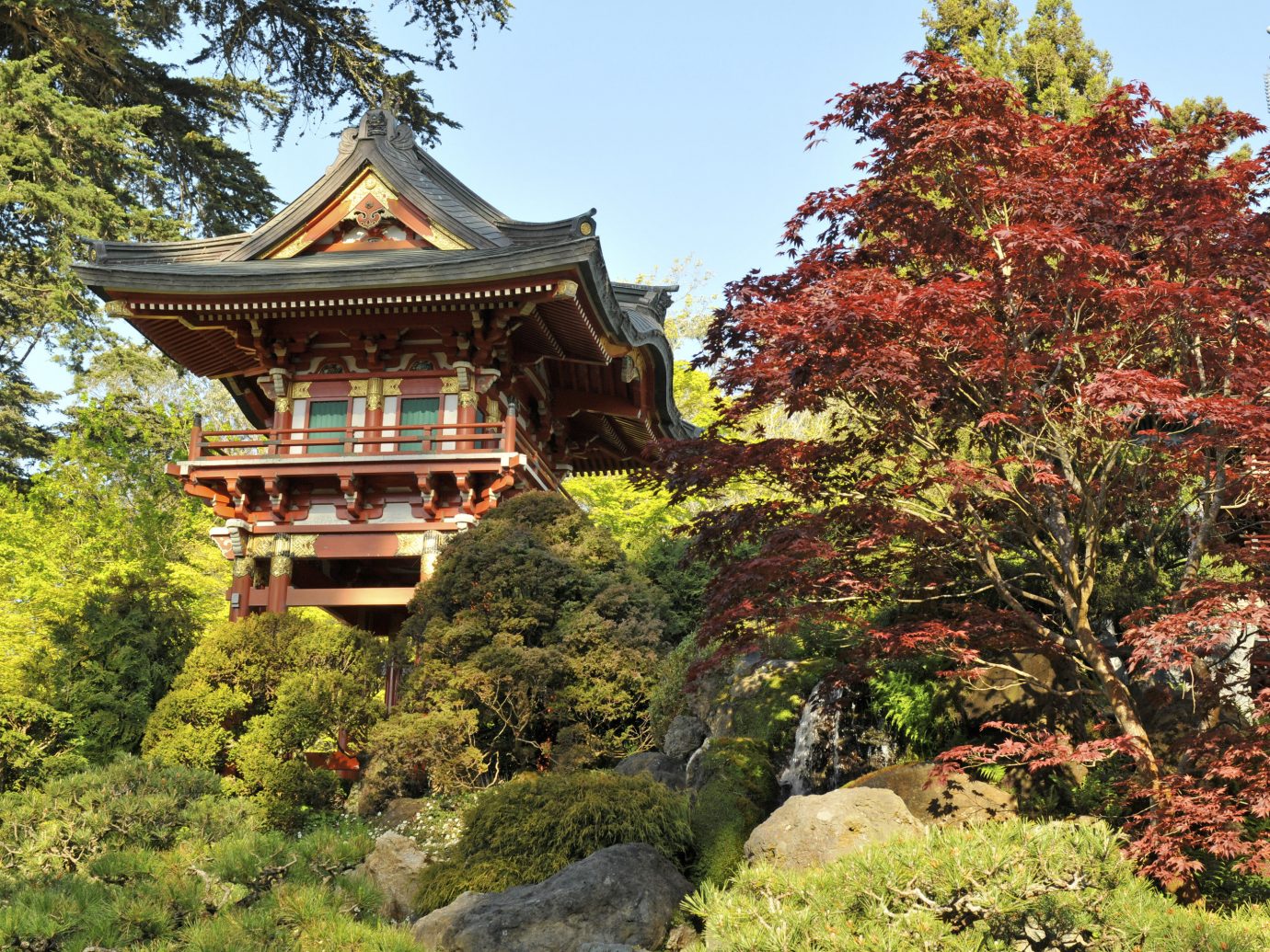 Beauty Health + Wellness Japan Kyoto San Francisco Travel Tips chinese architecture Nature leaf tree plant autumn Garden pagoda botanical garden tourist attraction house landscape shinto shrine temple outdoor structure estate shrub landscaping grass