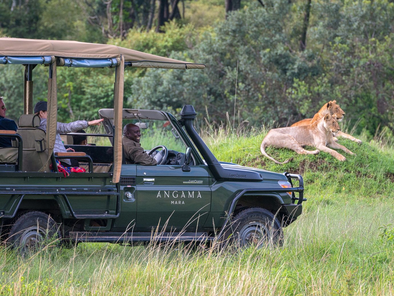 Angama Mara, Kenya Luxury African Safari