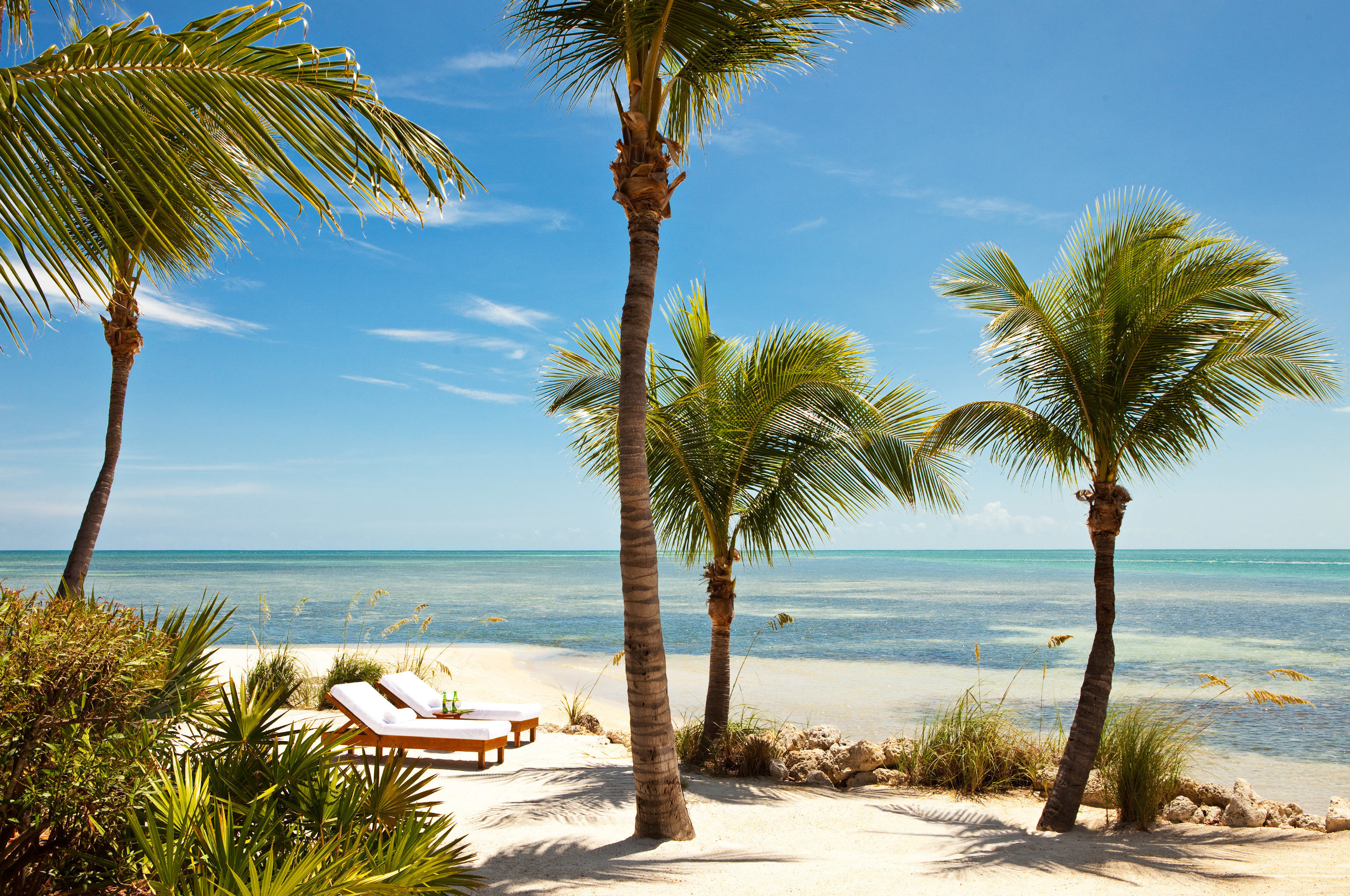 12 Best Resorts in Florida We Can