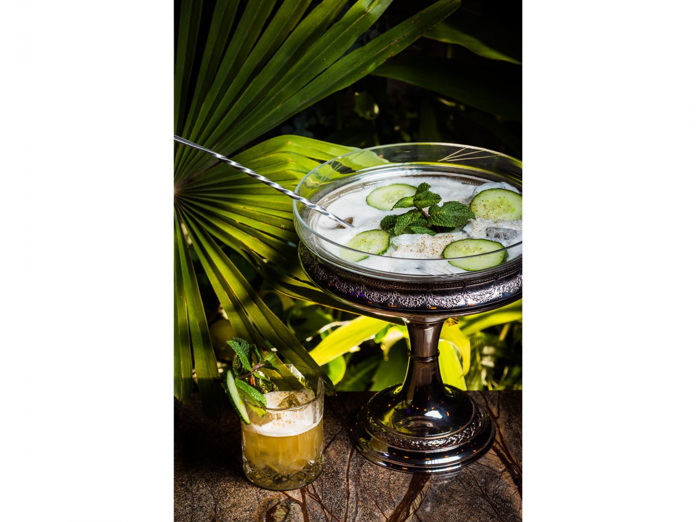 Food + Drink Luxury Travel News Style + Design Trip Ideas plant tableware Drink flowerpot drinkware