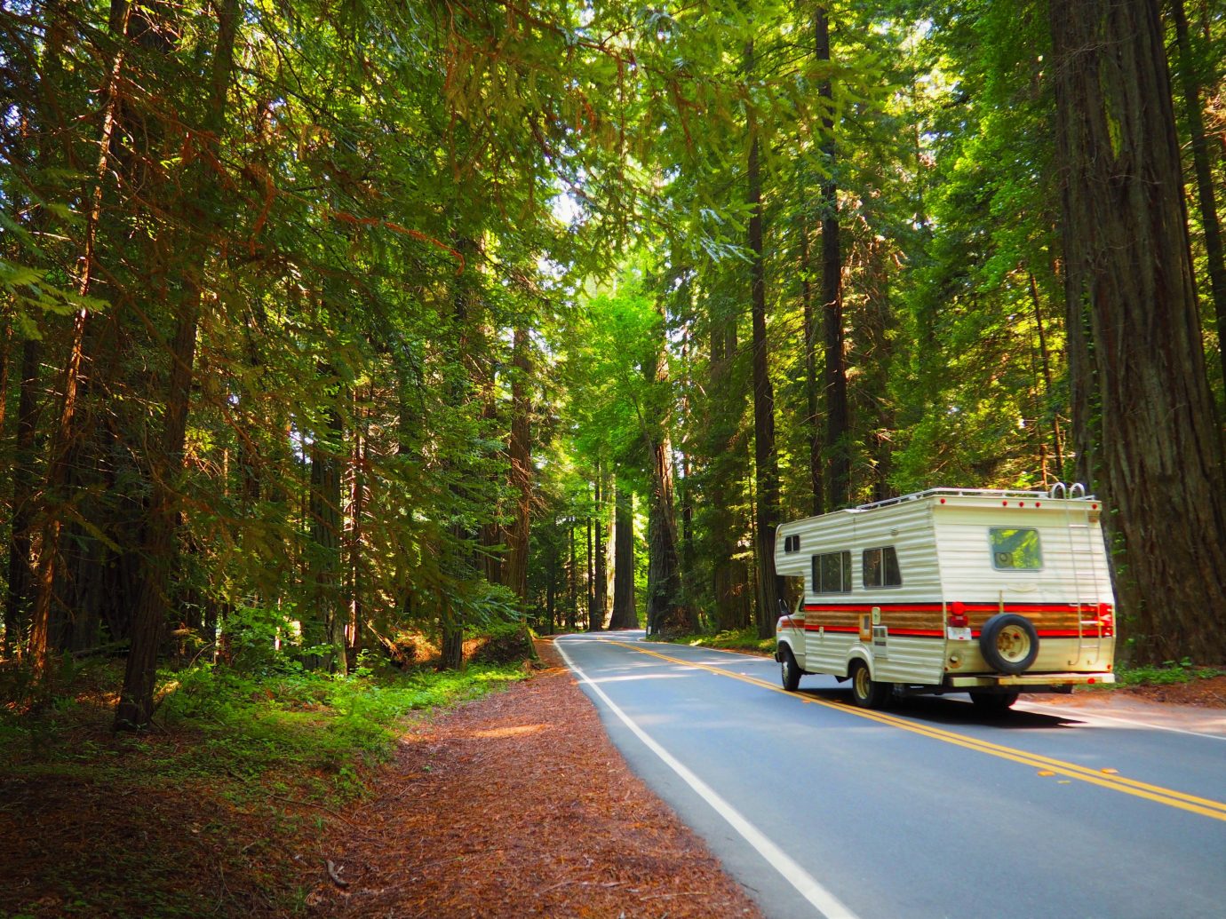 Family Travel National Parks Trip Ideas tree outdoor road habitat bus natural environment driving Forest season woody plant autumn woodland vehicle traveling wooded