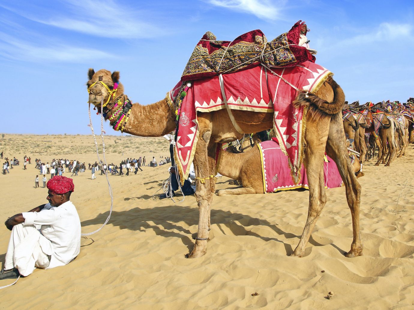 Travel Tips sky Camel outdoor natural environment camel like mammal arabian camel sahara Desert landscape aeolian landform sand erg several