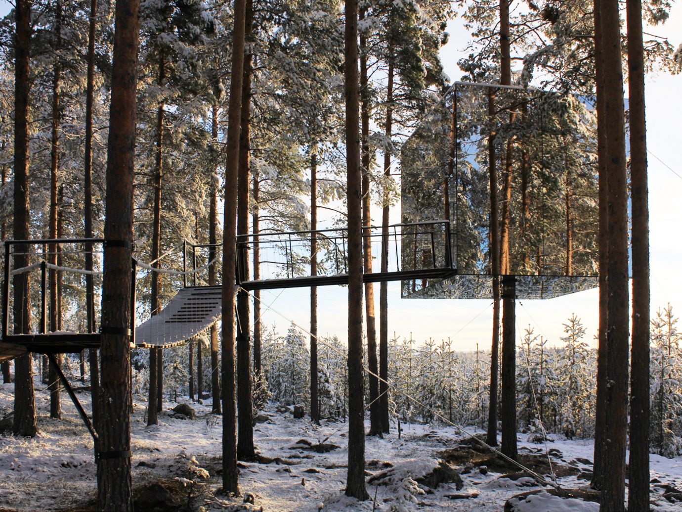 Design Hotels tree outdoor habitat snow Winter Nature wilderness natural environment weather woodland season Forest woody plant wood sunlight autumn conifer area wooded day surrounded