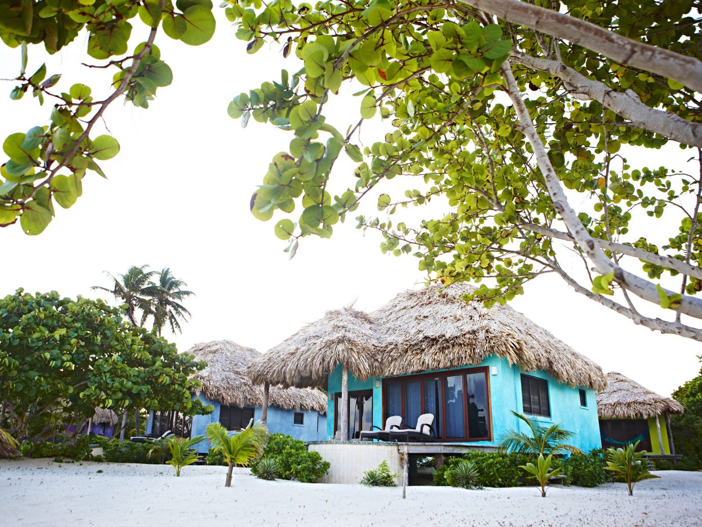 Matachica Beach Resort In Ambergris Caye, Belize
