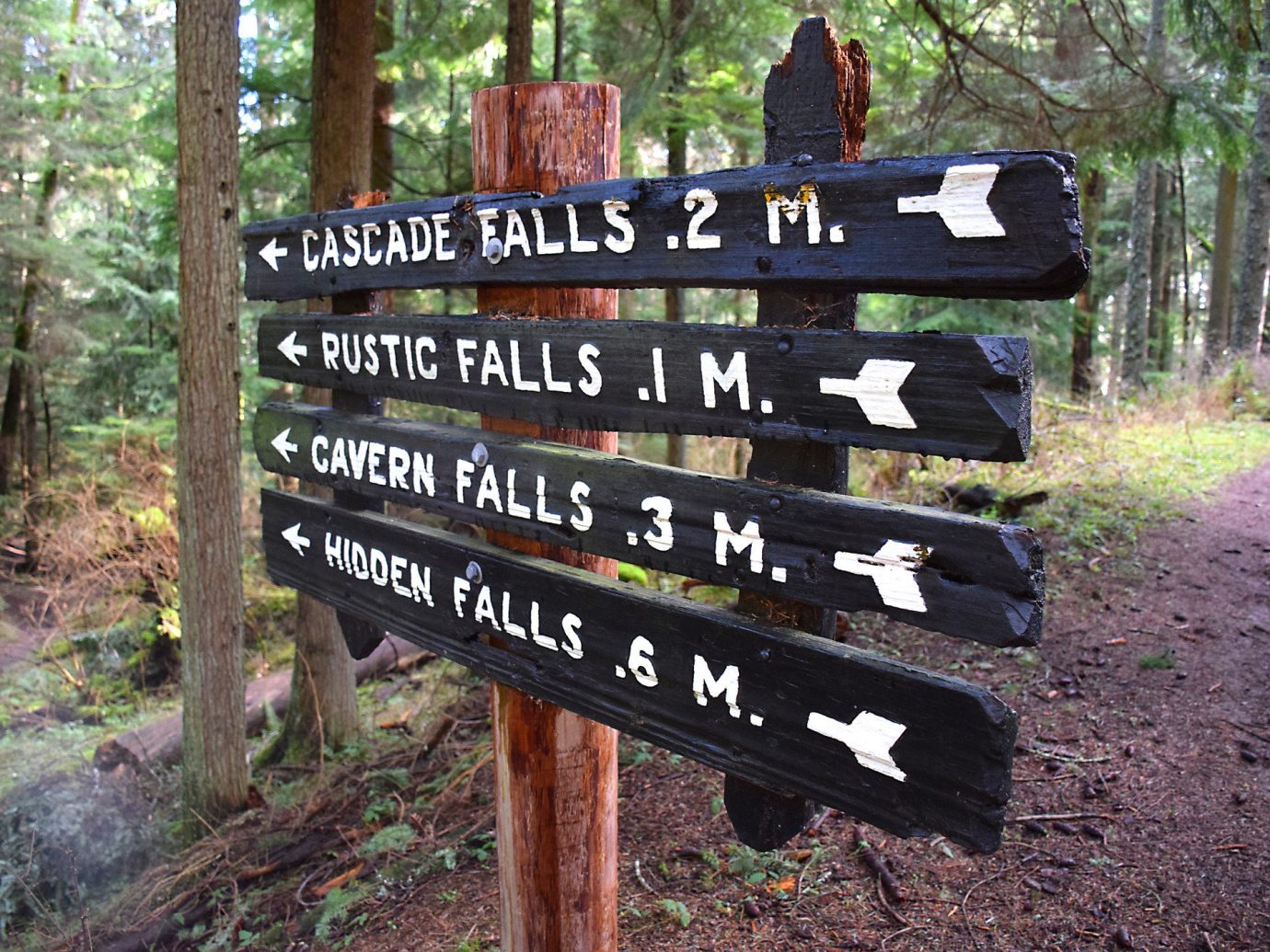 Trip Ideas tree outdoor grass trail wilderness wood wooden sign park Forest signage traffic sign wooded